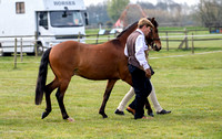 WHITE HOUSE FARM IN HAND RING 1 AND WORKING HUNTERS 16TH APRIL 23