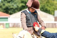 DRIFFIELD SHOW 22 IN HAND AND RIDDEN CLASSES STARTING AFTER 12.30